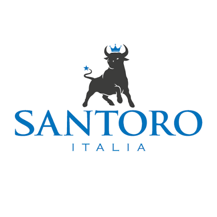 Logo Santoro Italia